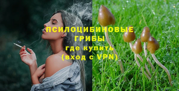 марки lsd Зеленодольск