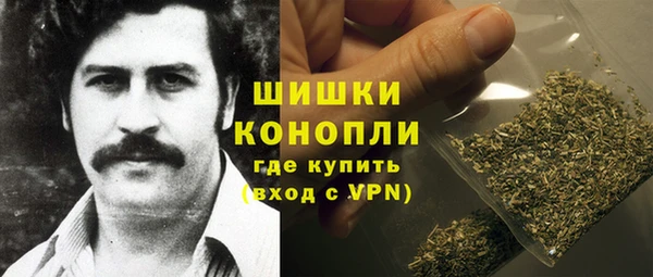 прущие грибы Зеленокумск