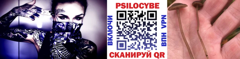 Купить  Таруса  Псилоцибиновые грибы ЛСД 